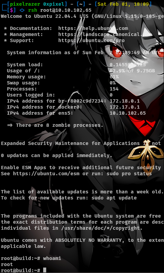 Build Root Pwn