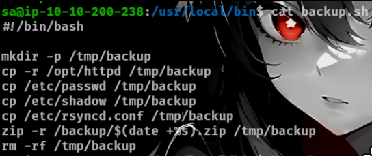 Sync BackUp Script
