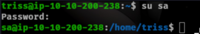 Sync User As SA